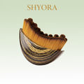 Lymphatic Drainage Brush